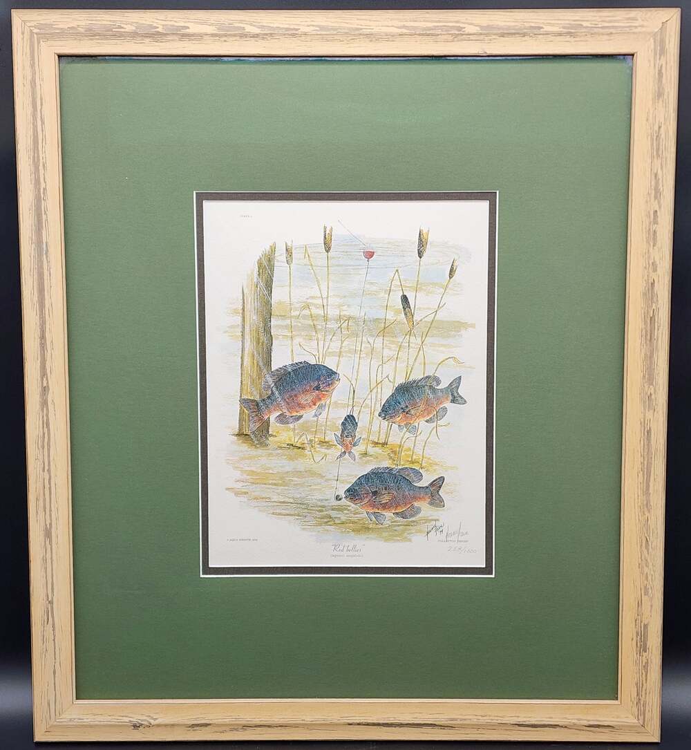Red Bellies 1974 Howard Fain Signed LE 258/1000 Framed 25x29 Vintage Art